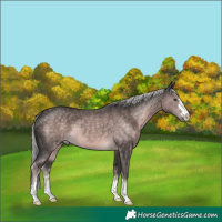 Horse Color:Platinum Chocolate Palomino 