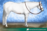 Horse Color:Gray Brown Tobiano Rabicano 