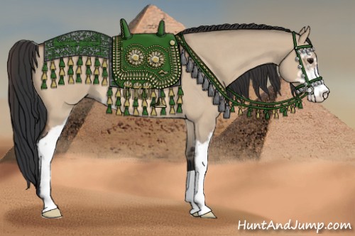 Horse Color:Bay Roan Dun Sabino