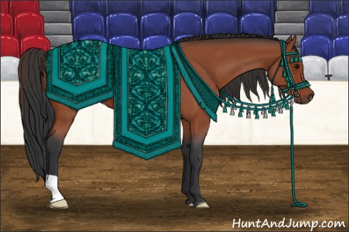 Horse Color:Bay Roan 
