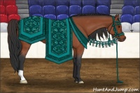 Horse Color:Bay Roan