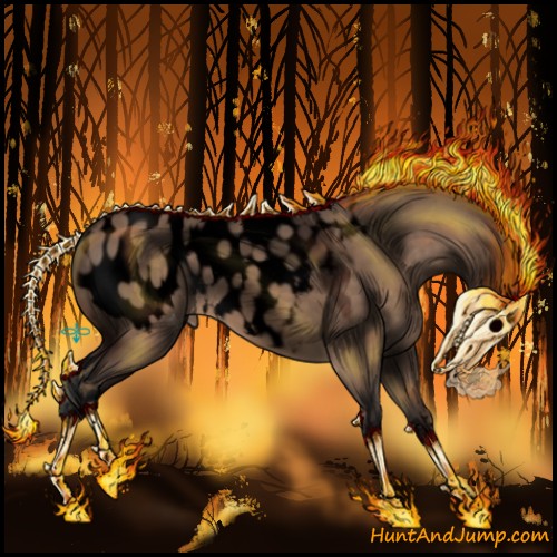 Horse Color:Void Bay Roan Dun Sabino Appaloosa 