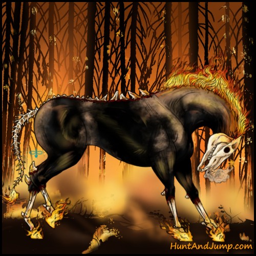 Horse Color:Void White Spotted Bay Roan Dun 