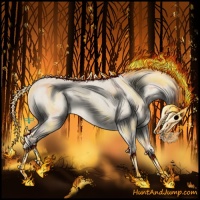 Horse Color:Void Cremello Roan Dun Sabino 