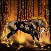 Horse Color:Void White Spotted Bay Dun Sabino Splash 