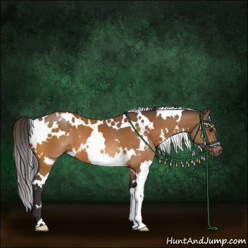Horse Color:White Spotted Buckskin 