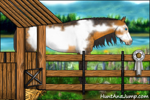 Horse Color:Buckskin Frame 