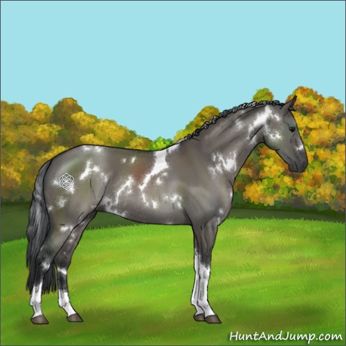 Horse Color:White Spotted Grullo Tobiano Rabicano 