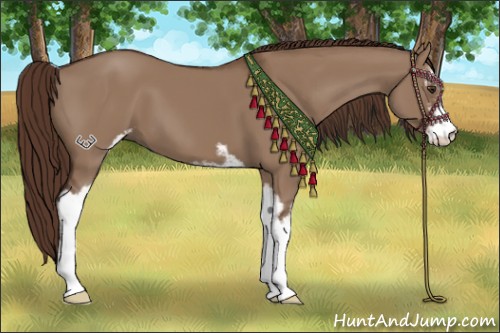 Horse Color:Liver Red Dun Sabino 