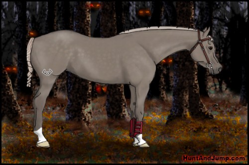 Horse Color:Silver Grullo