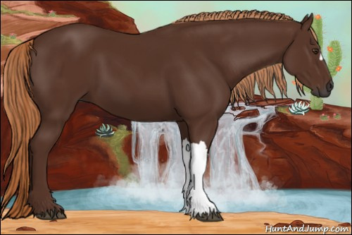 Horse Color:Gray Chestnut