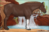 Horse Color:Gray Chestnut