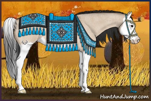 Horse Color:Bay Roan Dun Splash 