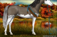 Horse Color:Smoky Grullo Roan Sabino Splash 