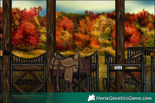 Horse Color:Brown Splash 