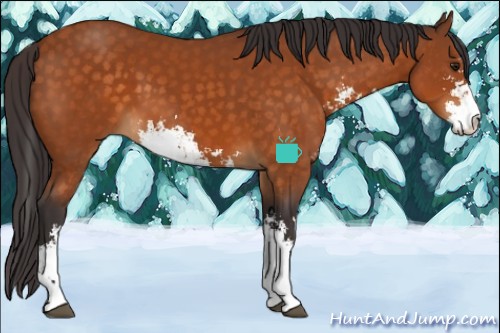Horse Color:Buckskin Sabino 