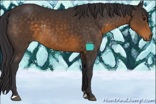 Horse Color:Buckskin Sabino Rabicano 