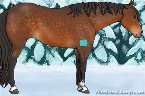 Horse Color:Buckskin Sabino