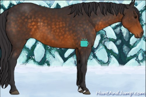 Horse Color:Buckskin Sabino 