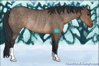 Horse Color:Brown Dun Rabicano 
