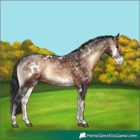 Horse Color:White Spotted Brown Ice Onyx Sabino 