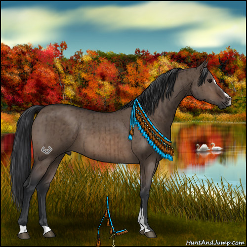 Horse Color:Brown Dun Sabino Brindle 