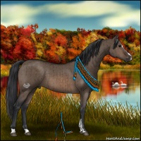 Horse Color:Brown Dun Sabino Brindle