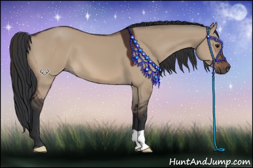 Horse Color:Brown Dun 