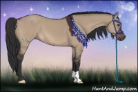 Horse Color:Brown Dun 