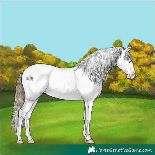 Horse Color:White Spotted Buckskin Pearl Varnish 