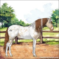 Horse Color:White Spotted Red Dun Tobiano Blanket 