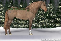 Horse Color:Liver Red Dun 