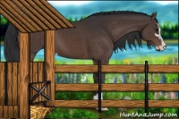 Horse Color:Brown Sabino
