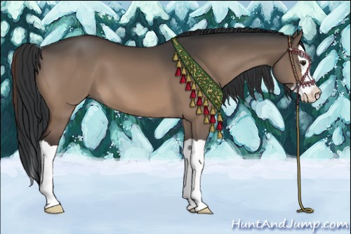 Horse Color:Brown Dun Splash