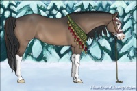 Horse Color:Brown Dun Splash