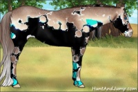 Horse Color:White Spotted Liver Red Onyx Roan Splash Frame 