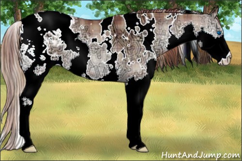 Horse Color:Plaid White Spotted Bay Ice Snowdrop Pearl Onyx Splash Blanket