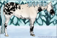 Horse Color:Void Painted Silver Smoky Creme Onyx Sabino Blanket