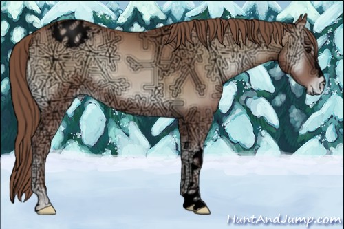 Horse Color:Void Blue Onyx Ice Pearl Varnish