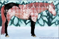 Horse Color:Void Watercolor Plaid Chestnut Ice Tobiano Appaloosa