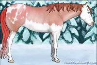 Horse Color:Sable Champagne Pearl Splash Appaloosa Rabicano 