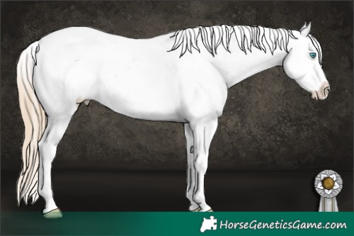 Horse Color:Smoky Creme Dun Sabino Tobiano Near Leopard