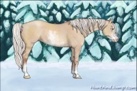 Horse Color:Silver Amber Champagne Dun Sabino 