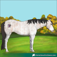 Horse Color:Bay Ice Roan Sabino Rabicano 
