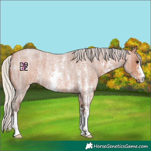 Horse Color:Silver Bay Ice Roan Sabino 