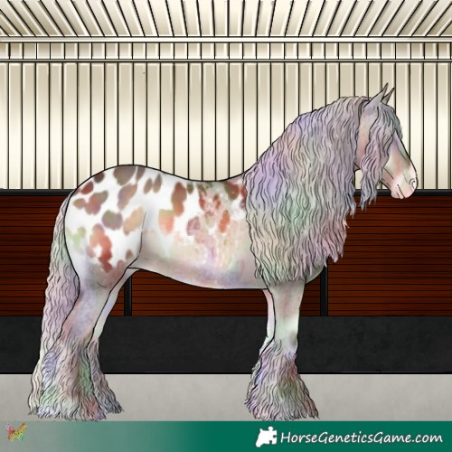 Horse Color:Nacre Silver Brown Onyx Appaloosa 