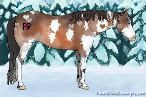 Horse Color:Brown Splash