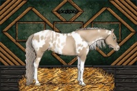 Horse Color:Chocolate Palomino Pearl Tobiano Frame  and Chocolate Palomino Pearl Tobiano Frame Near Leopard 