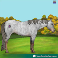 Horse Color:Liver Red Roan Mushroom