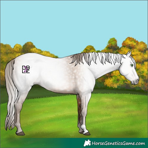 Horse Color:Gray Bay Pearl